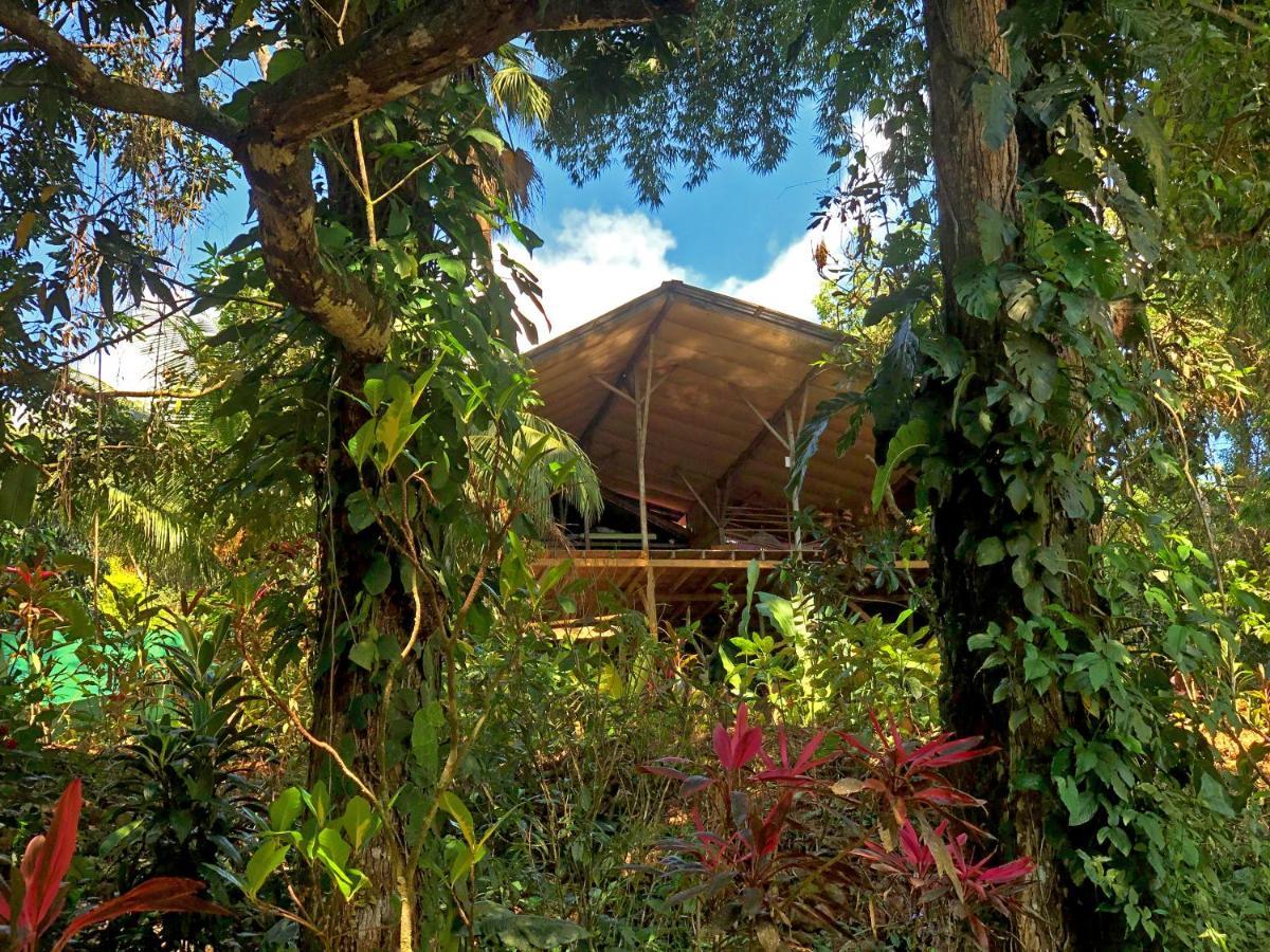 Cascada Verde Hostel Увита Экстерьер фото